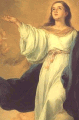 Immacolata concezione